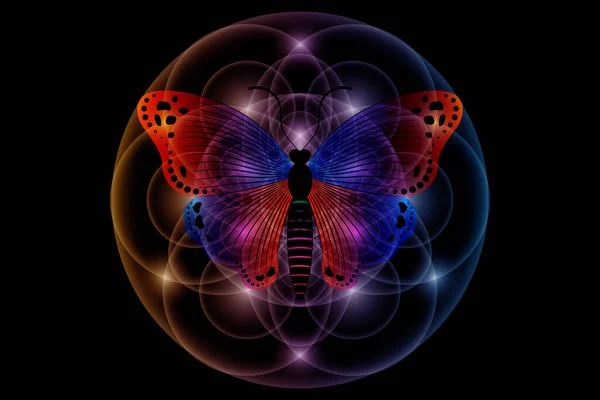 Mystical Butterfly Seed Life Sacred Geometry Flower Life Light Logo — 图库矢量图片