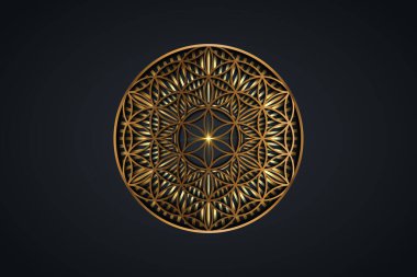 Flower of life, gold spiritual mandala, Sacred Geometry. Bright golden radiant rays symbol of harmony and balance. Mystical talisman, luxury round vector isolated on black background