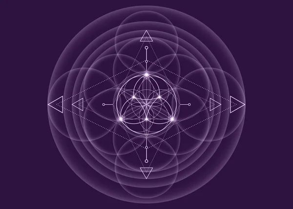 Sacred Geometry Flower Life Lotus Flower Mandala Neon Vintage Logo — Stock vektor