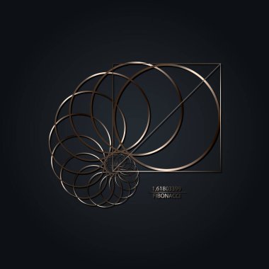 Fibonacci Sıralama Çemberi. Altın oran. Geometrik şekiller sarmal. Salyangoz sarmalı. Metalik dairelerden oluşan deniz kabuğu. Kutsal geometri logosu şablonu. Logaritmik diziler. Siyah arkaplanda izole edilmiş vektör