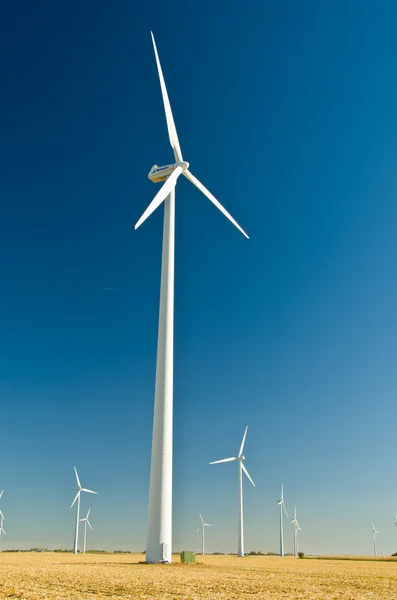 Wind Turbine Stock Picture