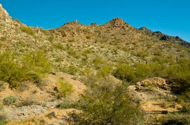 piestewa. zevce tepe