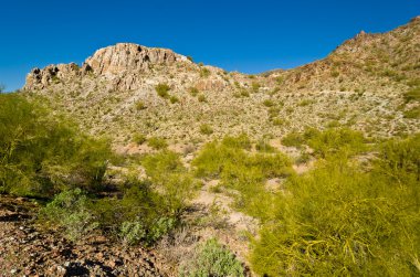 piestewa. zevce tepe