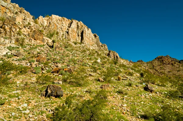 Piestewa. Squaw Peak — Stock Photo, Image