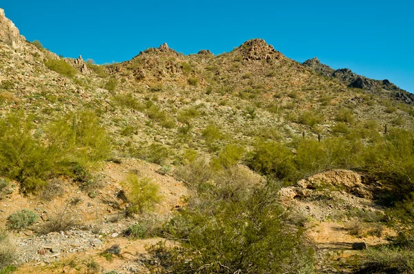 Piestewa. pico de India —  Fotos de Stock