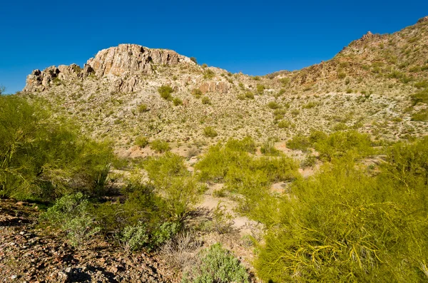 Piestewa. Pico de Squaw — Fotografia de Stock