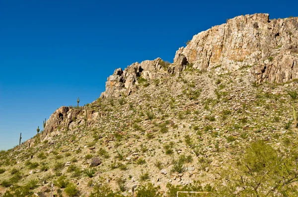 Piestewa. pico de India —  Fotos de Stock