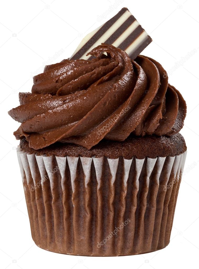 Chocolate Cupcake Isolated