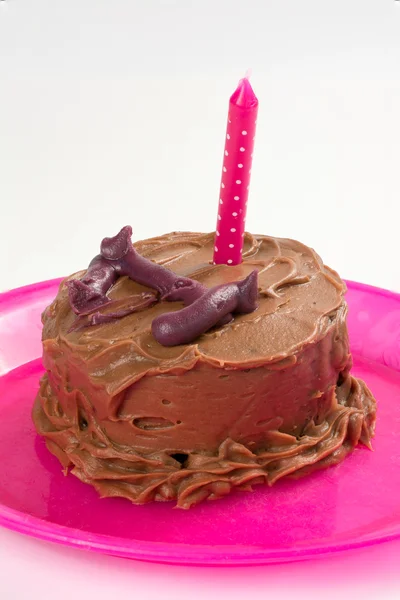 One Birthday Cake — Stock Photo, Image