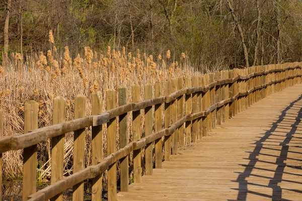 Passerelle en bois — Photo