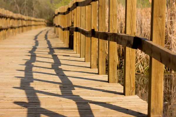 Passerelle en bois — Photo