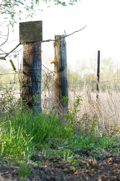 Fence Line — Stock Photo, Image