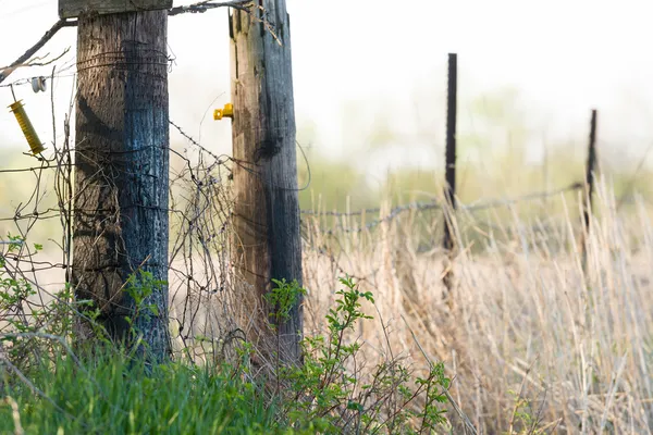 Fence Line — Stock Photo, Image