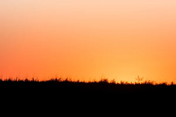 オレンジ色の夕日 ロイヤリティフリーのストック画像
