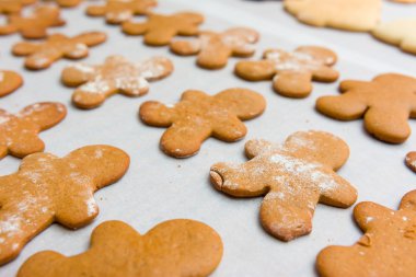 Zencefilli kurabiye.