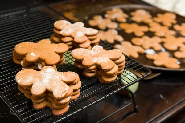 Ginger Bread Cookies — Stock Photo, Image