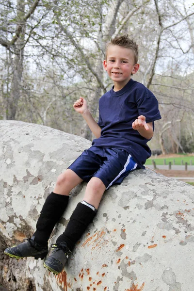 Smiling boy sitting in tree — Stock Photo, Image