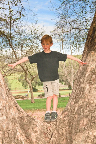 Chlapec stál v stromu — Stock fotografie