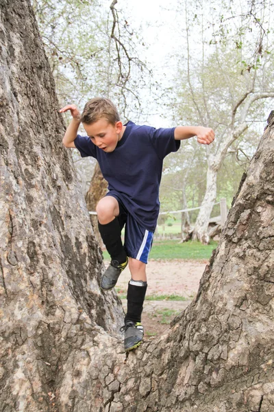 Хлопчик карате позує на дереві — стокове фото