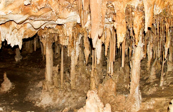 Lehman Caves 3 — Stock Photo, Image