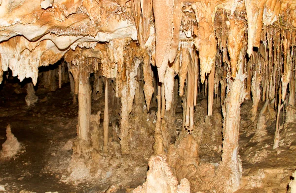 Lehman Caves 3 — Stock fotografie