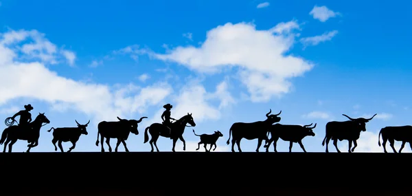 Cowboy et vaches ombre avec ciel bleu — Photo