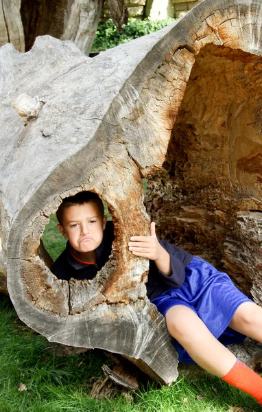 Συνοφρυωμένος αγόρι στο κοίλο δέντρο — Φωτογραφία Αρχείου