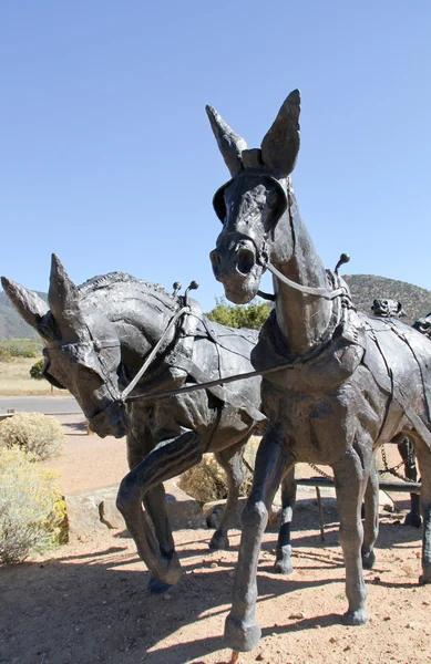 Taille de la vie deux mulets en bronze noir statue — Photo