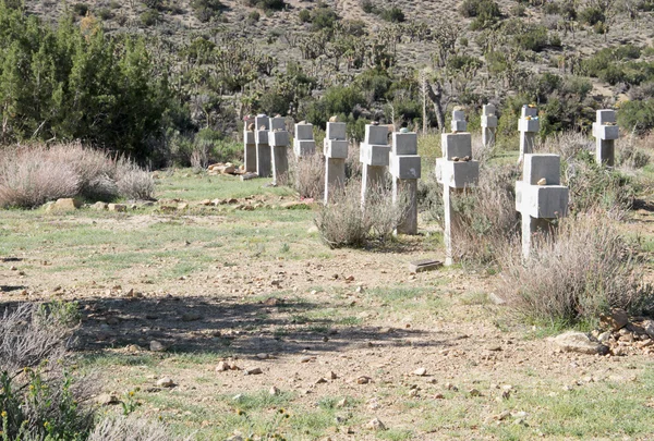 Cimitero del deserto — Foto Stock