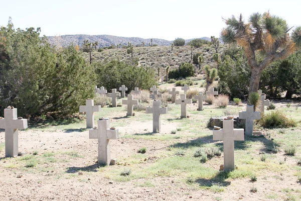 Sivatagi temető — Stock Fotó