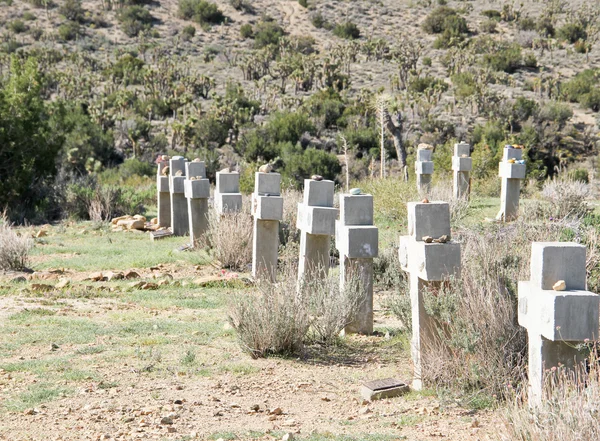 Sivatagi temető Stock Kép