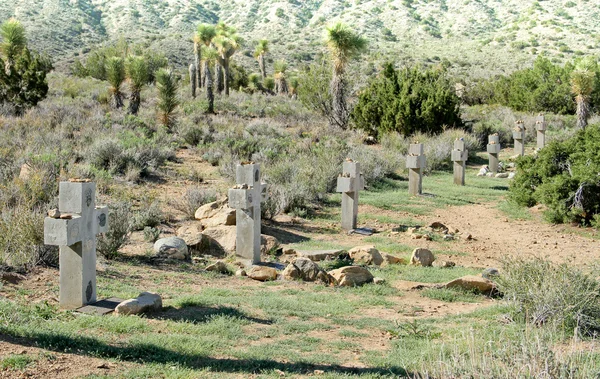 Cimitero del deserto — Foto Stock