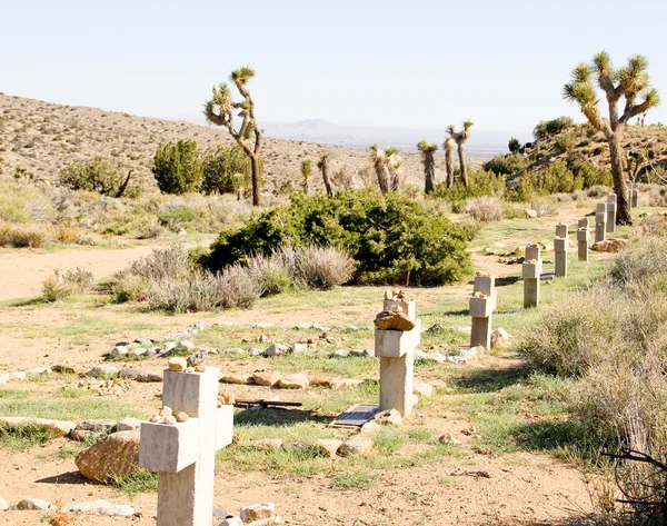 Cementerio del desierto — Foto de Stock