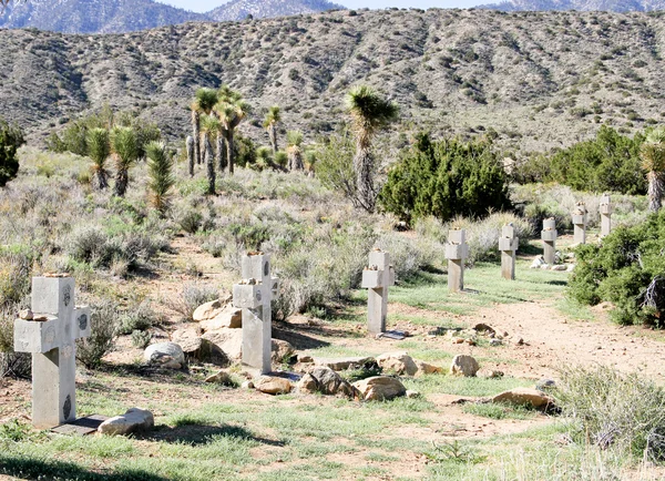 Cimitero del deserto — Foto Stock