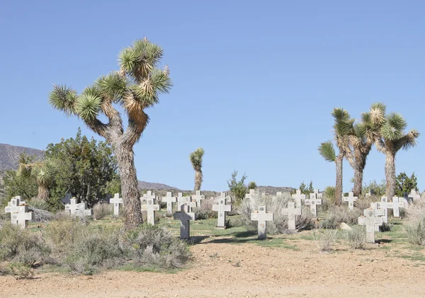 Statua del cimitero del deserto — Foto Stock