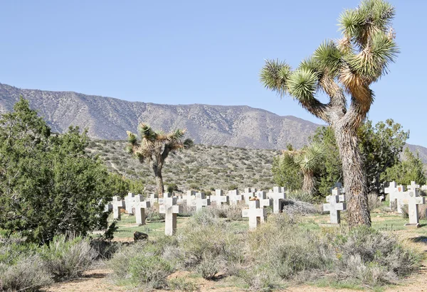 Statua del cimitero del deserto — Foto Stock