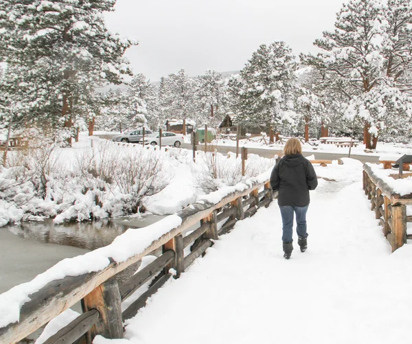 Äldre kvinna på snö täckta trail — Stockfoto