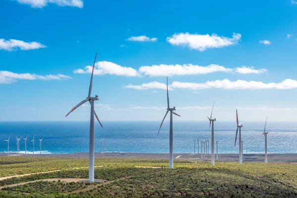 yeşil çimen enerji