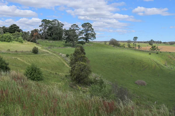 Vista Pastorale Dal Ponte Nimmons Vicino Ballarat Australia Rurale — Foto Stock