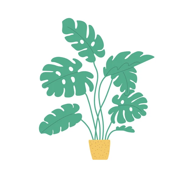 Boceto Monstera Maceta Filodendro Interior Vectorial Doodle Color Planta Ilustración — Vector de stock