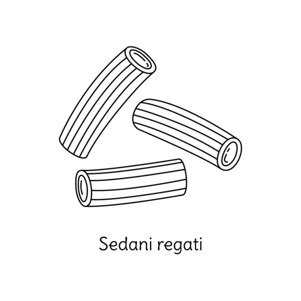 Sedani Regati Pasta Illustration Vektorns Klottringsskiss Traditionell Italiensk Mat Handritad — Stock vektor