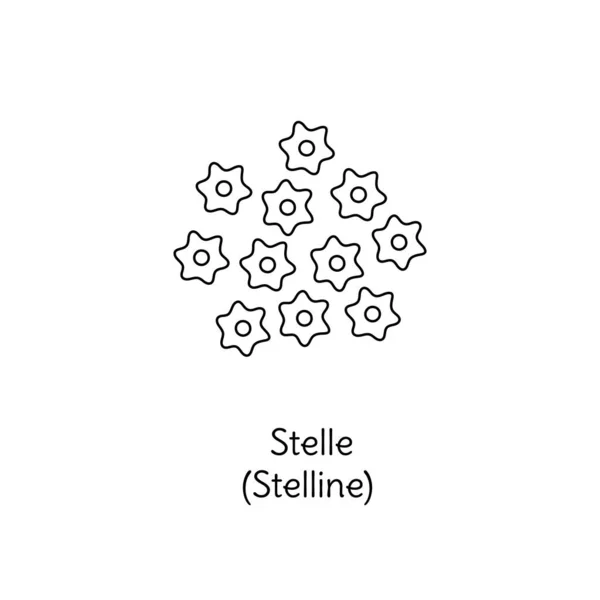 Illustration Pâtes Stelle Croquis Gribouillis Vectoriel Stellin Cuisine Italienne Traditionnelle — Image vectorielle