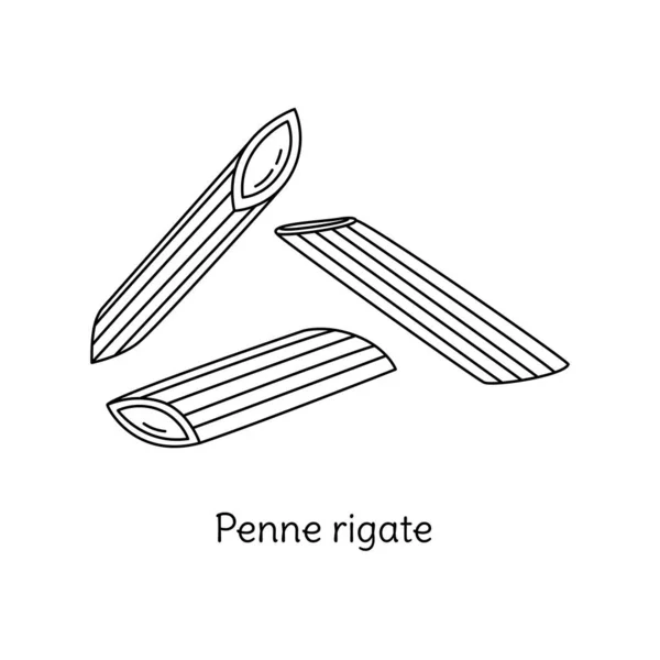 Penne Vattna Pasta Illustration Vektorns Klottringsskiss Traditionell Italiensk Mat Handritad — Stock vektor
