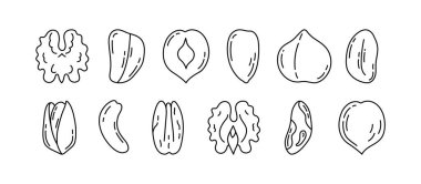 Çerez paketi. Doodle vektör gıda çizimi ayarlandı. Ceviz, fındık, badem ve macadamia. Fıstık, fındık, fındık, fıstık, fındık ve ceviz..