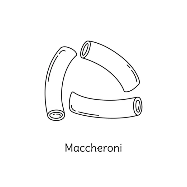 Maccheroni Těstoviny Ilustrace Vektorový Náčrtek Tradiční Italské Jídlo Ručně Kreslený — Stockový vektor