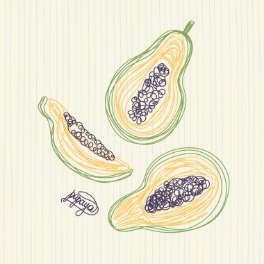 Papaya meyvesi. El çizimi vektör çizimi. Kalem ya da keçeli kalem çizimi