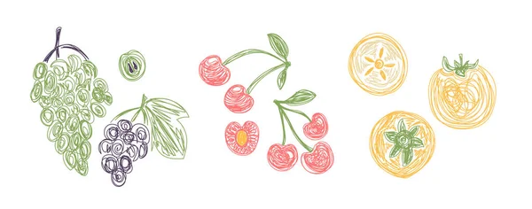 Uva, cereja e cáqui. Pacotes de fruta. Ilustração vetorial desenhada à mão. Esboço de caneta ou marcador. Linhas de silhuetas de arte. Desenho de contorno. — Vetor de Stock