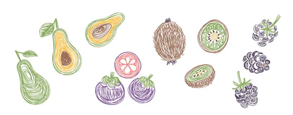 Abacate, mangostão, kiwi e amora. Pacotes de fruta. Ilustração vetorial desenhada à mão. Esboço de caneta ou marcador — Vetor de Stock