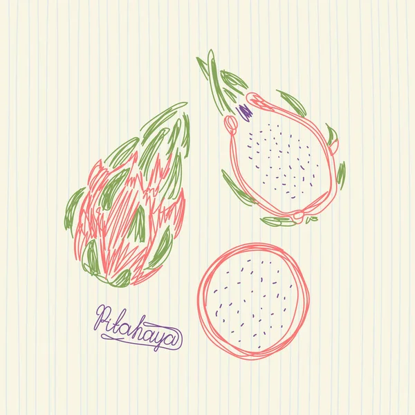 Fruta Pitahaya Ilustração Vetorial Desenhada Mão Esboço Caneta Marcador — Vetor de Stock