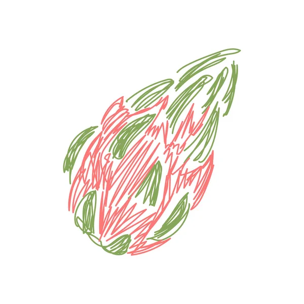 Pitahaya Fruit Handgetekende Vectorillustratie Schets Van Pen Stift — Stockvector